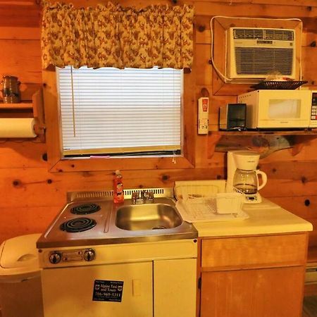 Alpine Mountain Sweetheart Cabin Jacuzzi #8 Helen Esterno foto