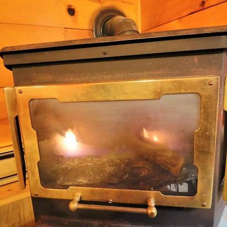 Alpine Mountain Sweetheart Cabin Jacuzzi #8 Helen Esterno foto