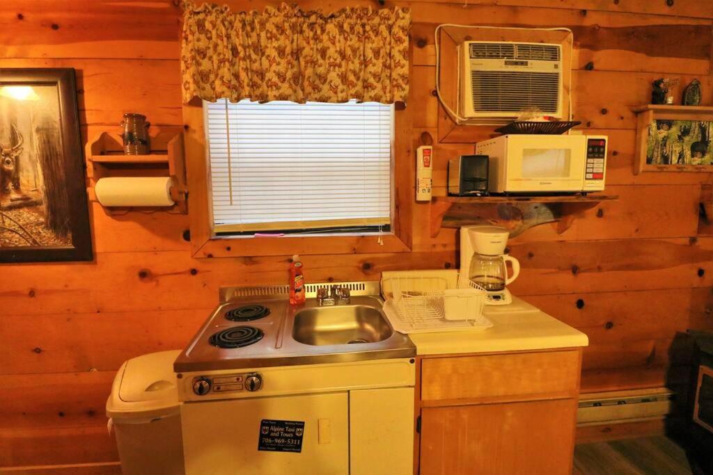 Alpine Mountain Sweetheart Cabin Jacuzzi #8 Helen Esterno foto